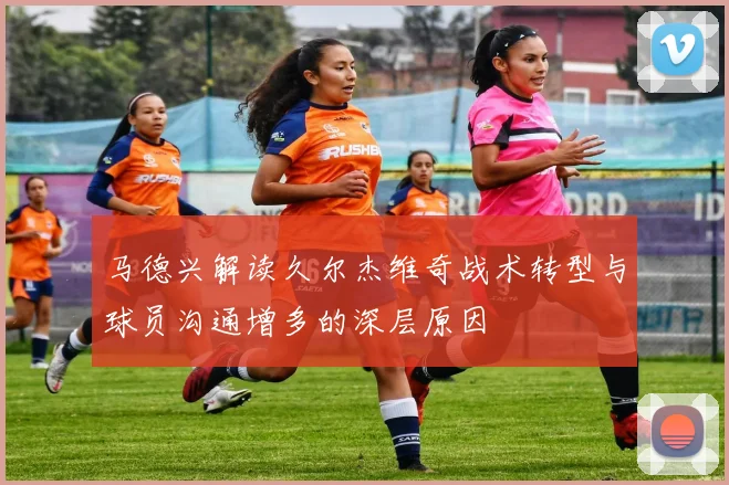 马德兴解读久尔杰维奇战术转型与球员沟通增多的深层原因