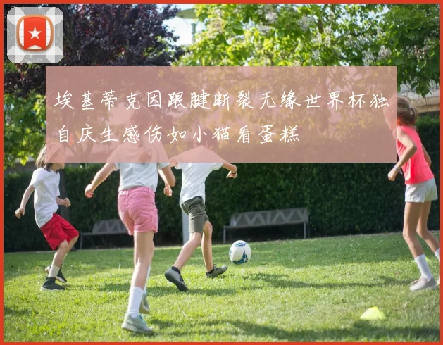 埃基蒂克因跟腱断裂无缘世界杯独自庆生感伤如小猫看蛋糕