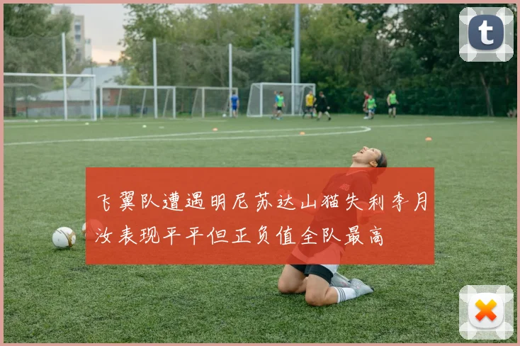 飞翼队遭遇明尼苏达山猫失利李月汝表现平平但正负值全队最高