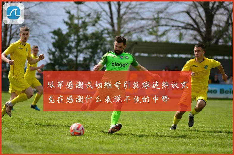 绿军感谢武切维奇引发球迷热议究竟在感谢什么表现不佳的中锋