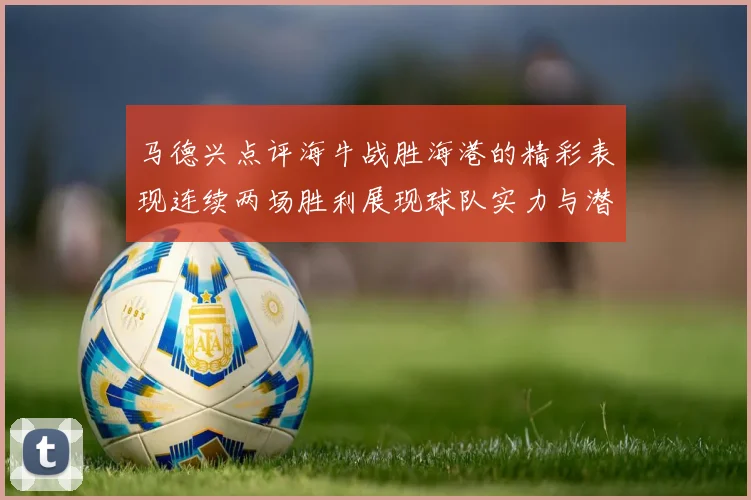 马德兴点评海牛战胜海港的精彩表现连续两场胜利展现球队实力与潜力