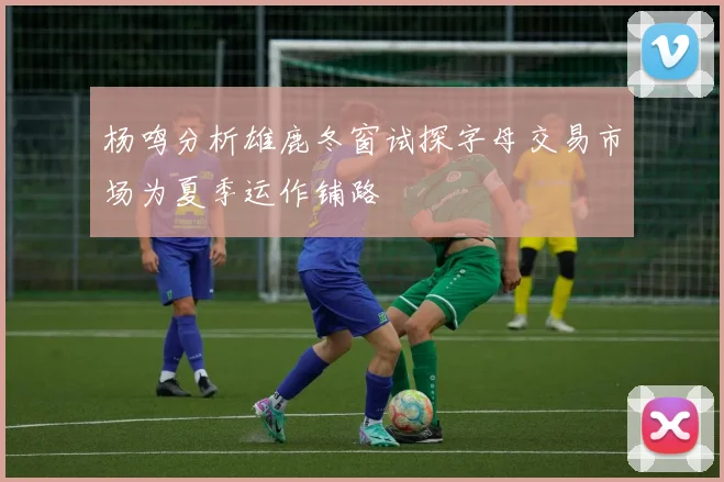 杨鸣分析雄鹿冬窗试探字母交易市场为夏季运作铺路
